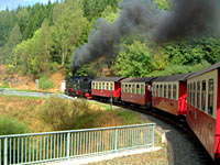 Harzer Schmalspurbahn hinter Sorge in Richtung Elend