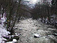 Das idyllische Bodetal