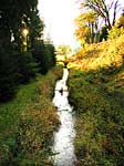 Lauf der Rappbode bei Trautenstein